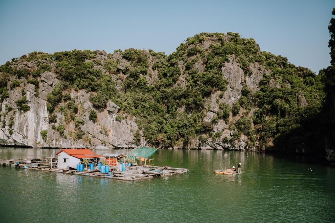 Cat Ba Bay Cruises Hotel Dong Khe Sau ภายนอก รูปภาพ
